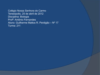 Colégio Nossa Senhora do Carmo
Teresópolis, 25 de abril de 2012
Disciplina: Biologia
Profº: Antônio Fernandes
Aluno: Guilherme Mattos R. Perdigão – Nº 17
Turma: 211
 