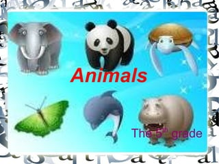 Animals The 5 th  grade 