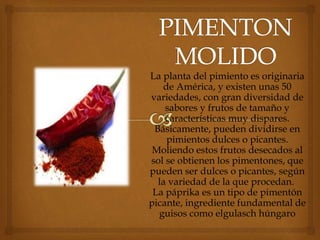 La planta del pimiento es originaria
de América, y existen unas 50
variedades, con gran diversidad de
sabores y frutos de tamaño y
características muy dispares.
Básicamente, pueden dividirse en
pimientos dulces o picantes.
Moliendo estos frutos desecados al
sol se obtienen los pimentones, que
pueden ser dulces o picantes, según
la variedad de la que procedan.
La páprika es un tipo de pimentón
picante, ingrediente fundamental de
guisos como elgulasch húngaro
 