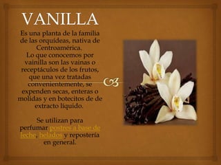 Es una planta de la familia
de las orquídeas, nativa de
Centroamérica.
Lo que conocemos por
vainilla son las vainas o
receptáculos de los frutos,
que una vez tratadas
convenientemente, se
expenden secas, enteras o
molidas y en botecitos de de
extracto líquido.
Se utilizan para
perfumar postres a base de
leche, helados y repostería
en general.
 