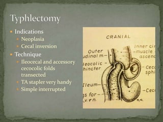 Gastrointestinal Veterinary Talk, Part 2 | PPTX