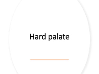 Hard palate
 
