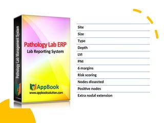 Site
Size
Type
Depth
LVI
PNI
6 margins
Risk scoring
Nodes dissected
Positive nodes
Extra nodal extension
 