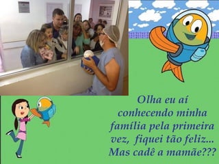 Olha eu aí
conhecendo minha
família pela primeira
vez, fiquei tão feliz...
Mas cadê a mamãe???
 