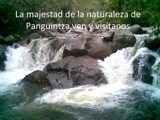 La majestad de la naturaleza de Panguintza ven y visítanos 