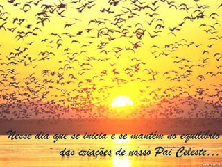 Nesse dia que se inicia e se mantém no equilíbrio
           das criações de nosso Pai Celeste…
 