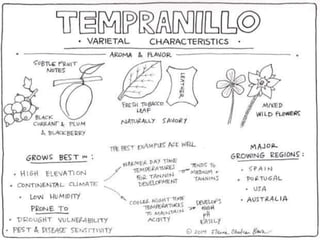 TEMPRANILLO
Flavour
characteristics
 Wine characteristics –
styles: alcohol,
tannins, acidity, body,
sweetness
 Food pairings
 