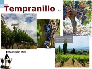 Tempranillo <3
Washington state
 