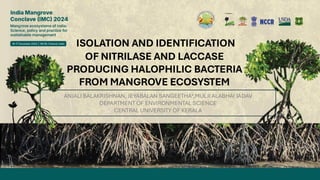 thumbnail of  Isolation and Identification of Nitrilase and Laccase Producing Halophilic Bacteria from Mangrove Ecosystem