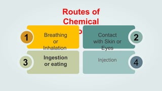 Anjali Behera - Toxic chemicals and their eff.pptx