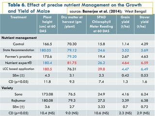 Treatment Plant
height
(cm) at 60
DAS
Dry matter at
harvest (gm
/plant)
SPAD
Chlorophyll
Meter Reading
at 60 DAS
Grain
yield
(t/ha)
Stover
yield
(t/ha)
Nutrient management
Control 166.5 70.30 15.8 1.14 4.29
State Recommendation 180.05 79.12 24.6 3.52 5.69
Farmer’s practice 175.6 79.20 19.4 2.67 4.63
Nutrient expert® 180.4 81.75 26.2 4.64 6.59
LCC based application 180.5 76.31 29.8 4.47 6.49
SEm (±) 4.3 3.1 2.3 0.42 0.53
CD (p=0.05) 11.8 9.3 7.4 1.3 1.6
Variety
Sona 173.08 76.5 24.9 4.16 6.24
Rajkumar 180.08 79.3 27.5 3.39 6.38
SEm (±) 3.6 2.7 3.33 0.7 0.72
CD (p=0.05) 10.4 (NS) 9.0 (NS) 10.6 (NS) 2.3 (NS) 2.9 (NS)
source: Banerjee et al. (2014); West Bengal
 