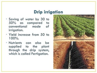 • Saving of water by 30 to
50% as compared to
conventional mode of
irrigation.
• Yield increase from 50 to
100%.
• Nutrients can also be
supplied to the plant
through the drip system,
which is called Fertigation.
 