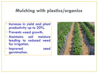 • Increase in yield and plant
productivity up to 20%.
• Prevents weed growth.
• Maintains soil moisture
leading to reduced need
for irrigation.
• Improved seed
germination.
 