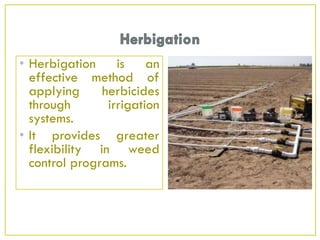 • Herbigation is an
effective method of
applying herbicides
through irrigation
systems.
• It provides greater
flexibility in weed
control programs.
 