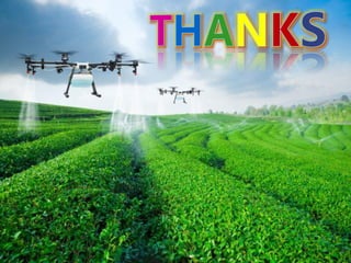 anjali DS 2 (precision farming).pdf