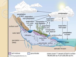 Effect of Climate Change - By Anjali Patel (IGKV Raipur, C.G) | PPTX