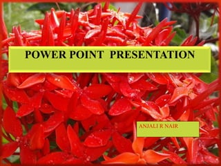 POWER POINT PRESENTATION
ANJALI R NAIR
 