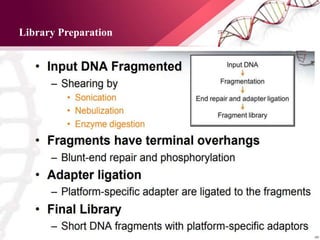 Library Preparation
 