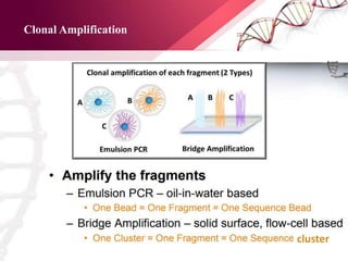 Clonal Amplification
cluster
 