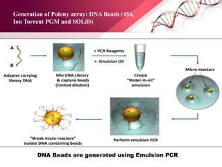 Generation of Polony array: DNA Beads (454,
Ion Torrent PGM and SOLiD)
DNA Beads are generated using Emulsion PCR
 