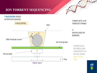 ION TORRENT SEQUENCING
 
