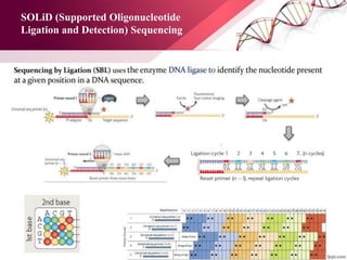 SOLiD (Supported Oligonucleotide
Ligation and Detection) Sequencing
 