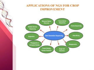 APPLICATIONS OF NGS FOR CROP
IMPROVEMENT
 