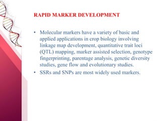 RAPID MARKER DEVELOPMENT
• Molecular markers have a variety of basic and
applied applications in crop biology involving
linkage map development, quantitative trait loci
(QTL) mapping, marker assisted selection, genotype
fingerprinting, parentage analysis, genetic diversity
studies, gene flow and evolutionary studies.
• SSRs and SNPs are most widely used markers.
 