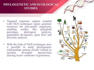 PHYLOGENETIC AND ECOLOGICAL
STUDIES
• Targeted sequence capture coupled
with NGS techniques opens genomic
resources for non-model organisms,
enabling studies like polyploid
parentage, phylogeny analysis,
population divergence, gene flow and
diversity analysis.
• With the help of NGS techniques now
it possible to study phylogenetic
relationships among closely related or
recently divergent species/taxa
(having lesser variations in genomes).
 