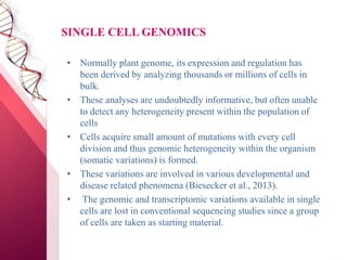 SINGLE CELL GENOMICS
• Normally plant genome, its expression and regulation has
been derived by analyzing thousands or millions of cells in
bulk.
• These analyses are undoubtedly informative, but often unable
to detect any heterogeneity present within the population of
cells
• Cells acquire small amount of mutations with every cell
division and thus genomic heterogeneity within the organism
(somatic variations) is formed.
• These variations are involved in various developmental and
disease related phenomena (Biesecker et al., 2013).
• The genomic and transcriptomic variations available in single
cells are lost in conventional sequencing studies since a group
of cells are taken as starting material.
 