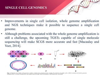 SINGLE CELL GENOMICS
• Improvements in single cell isolation, whole genome amplification
and NGS techniques make it possible to sequence a single cell
genome.
• Although problems associated with the whole genome amplification is
still a challenge, the upcoming TGSTs capable of single molecule
sequencing will make SCGS more accurate and fast [Macaulay and
Voet, 2014].
 