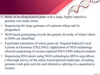 • Study of an allopolyploid plant with a large, highly repetitive
genome was made easier.
• Sequencing the large genomes of common wheat and its
progenitors.
• NGS-based genotyping reveals the genetic diversity of wheat where
in SNPs are identified.
• Functional annotation of wheat genes by Targeted Induced Local
Lesions in Genomes (TILLING): Application of NGS technology
allowed sequencing of exome-captured DNA EMS-induced mutants
• Sequencing RNA pools using NGS technologies (RNA-seq) allows
a thorough survey of the entire transcriptional landscape, revealing
genome-wide gene activity and alternative splicing in a quantitative
manner.
 