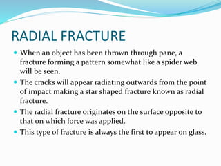 RADIAL FRACTURE
 When an object has been thrown through pane, a
fracture forming a pattern somewhat like a spider web
will be seen.
 The cracks will appear radiating outwards from the point
of impact making a star shaped fracture known as radial
fracture.
 The radial fracture originates on the surface opposite to
that on which force was applied.
 This type of fracture is always the first to appear on glass.
 
