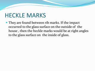 HECKLE MARKS
 They are found between rib marks. If the impact
occurred to the glass surface on the outside of the
house , then the heckle marks would be at right angles
to the glass surface on the inside of glass.
 