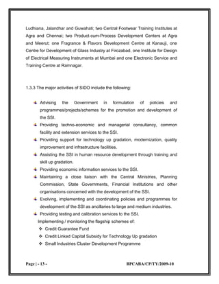 Evolving, implementing and coordinating policies and programmes for development of the SSI as ancillaries to large and medium industries.