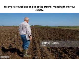 His eye Narrowed and angled at the ground, Mapping the furrow
exactly.
 