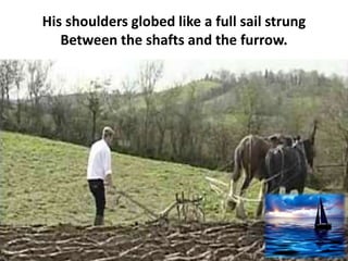 His shoulders globed like a full sail strung
Between the shafts and the furrow.
 