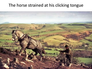 The horse strained at his clicking tongue
 