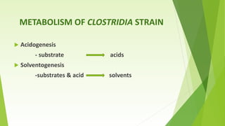 Solventogenesis BIOBUTANOL- AN ADVANCED BIOFUEL | PPTX