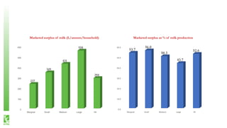 Traditional Versus Modern Milk Marketing Chains in India: Implications for Smallholder Dairy Farmers