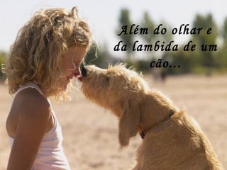 Além do olhar e
da lambida de um
cão...
 