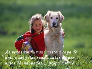 Às vezes um humano veste a capa de anjo e sai pelas ruas a catar alguns anjos abandonados à  própria sorte. 