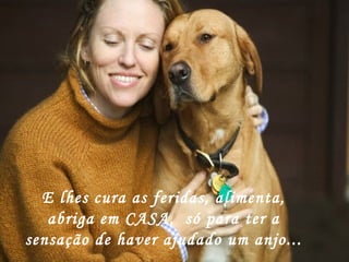 E lhes cura as feridas, alimenta, abriga em CASA,  só para ter a sensação de haver ajudado um anjo... 