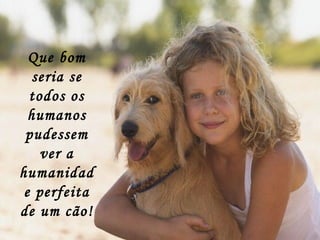 Que bom seria se todos os humanos pudessem ver a humanidade perfeita de um cão! 