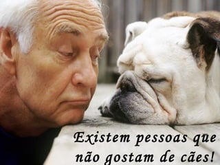 Existem pessoas que não gostam de cães! 