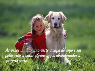 Às vezes um humano veste a capa de anjo e sai pelas ruas a catar alguns anjos abandonados à  própria sorte. 