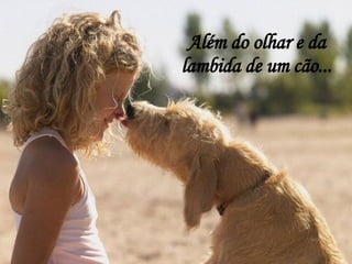 Além do olhar e da lambida de um cão... 