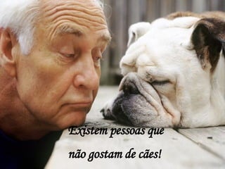 Existem pessoas que  não gostam de cães! 
