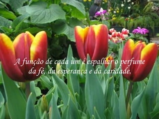 A função de cada um é espalhar o perfume da fé, da esperança e da caridade. 