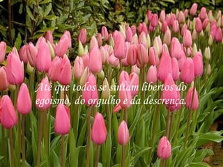 Até que todos se sintam libertos do egoismo, do orgulho e da descrença. 